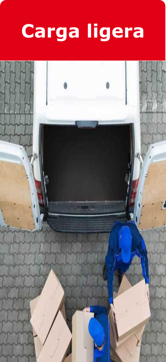 Carga Ligera